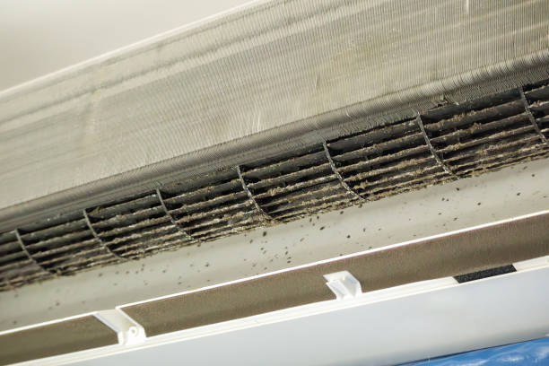 Professional Airduct Cleaning in Holiday City South, NJ